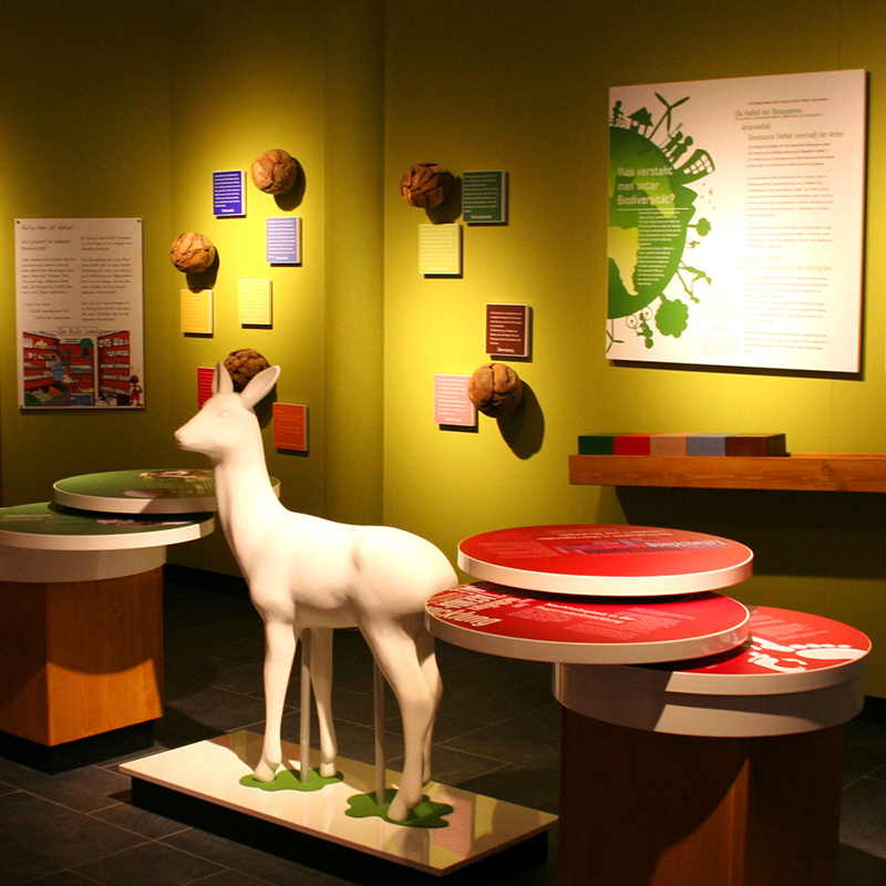 Ausstellungsproduktion Naturerebezentrum Rügen bei Prora