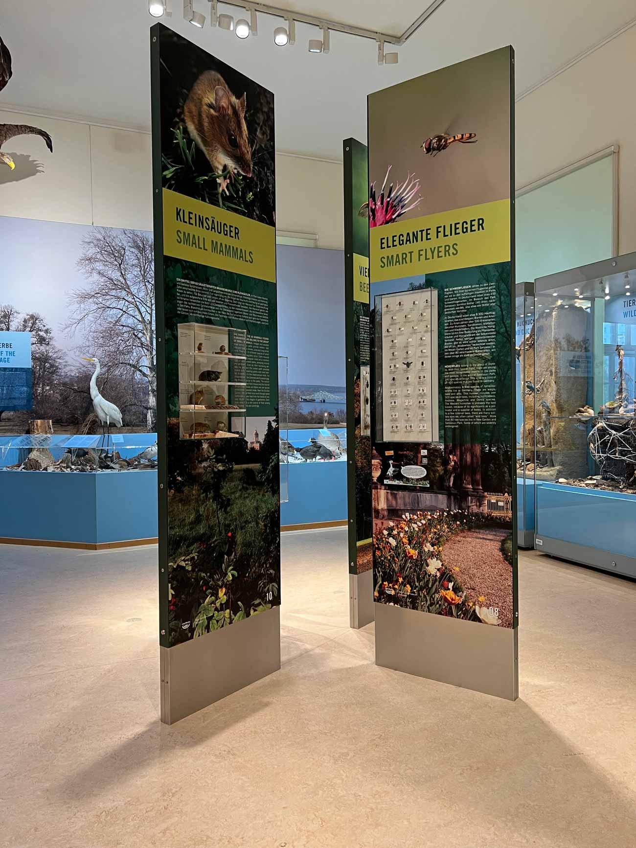 interaktive-Ausstellungssysteme-mit-Vitrinen-digidax- Konzeption für Ausstellungssysteme